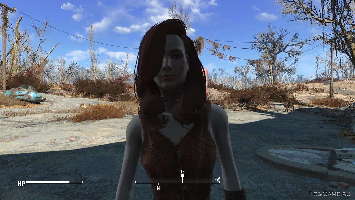 Fallout 4 леди удача фото 24