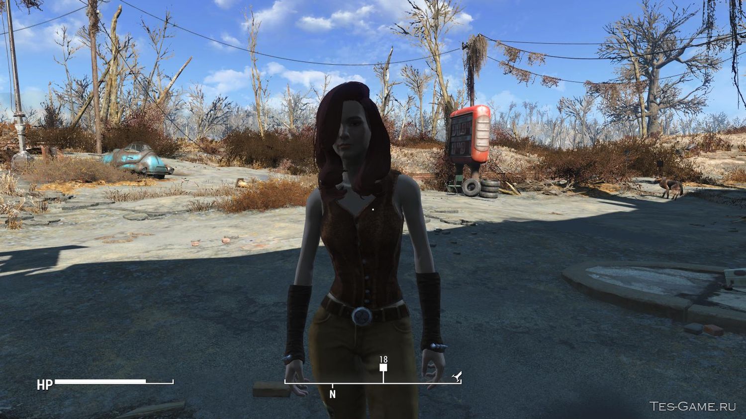 Fallout 4 внешность кейт фото 99