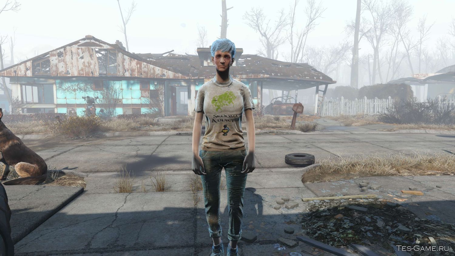 Fallout 4 кресло для матушки мерфи фото 25