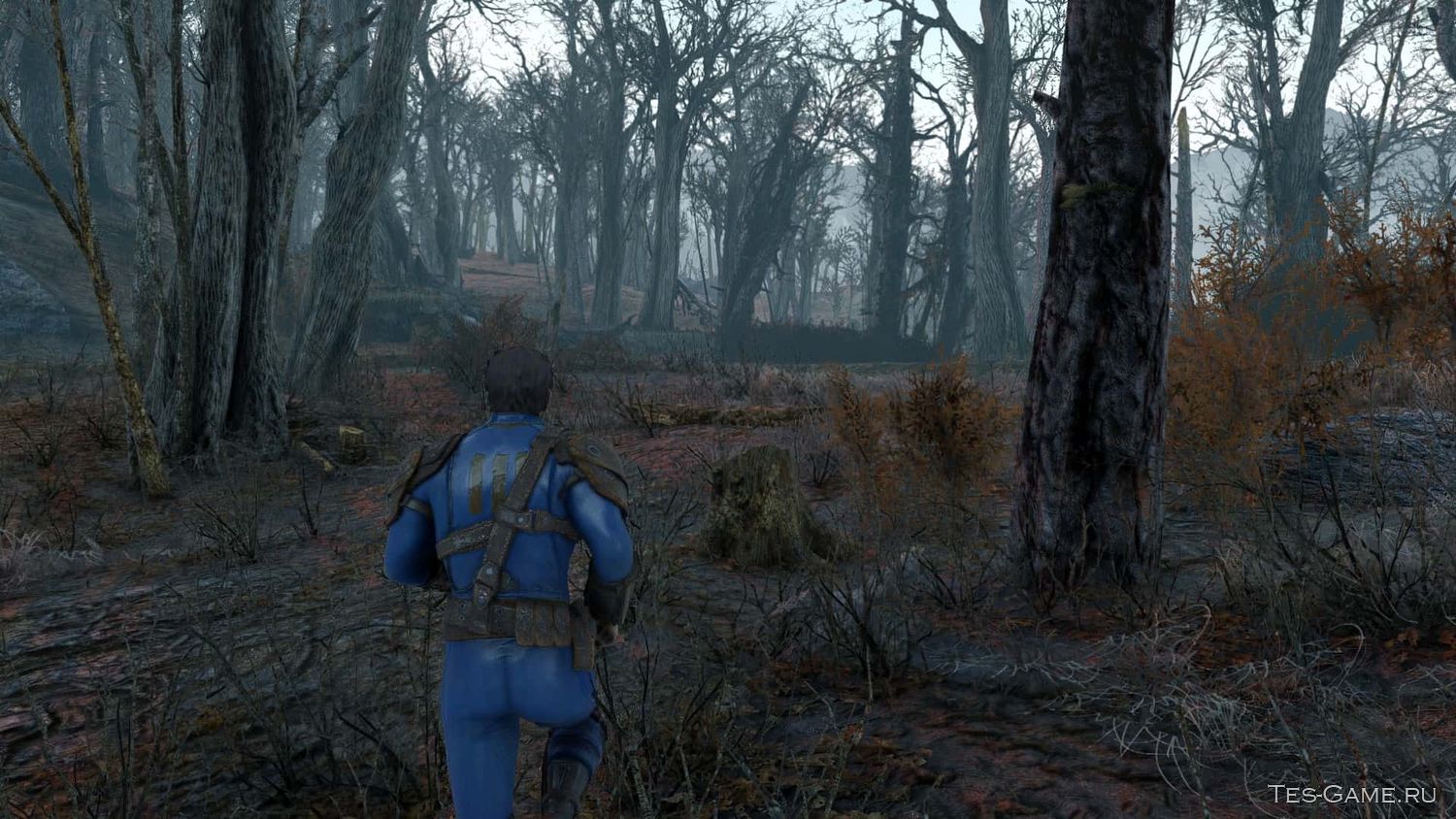 Fallout 4 деревья и трава фото 39