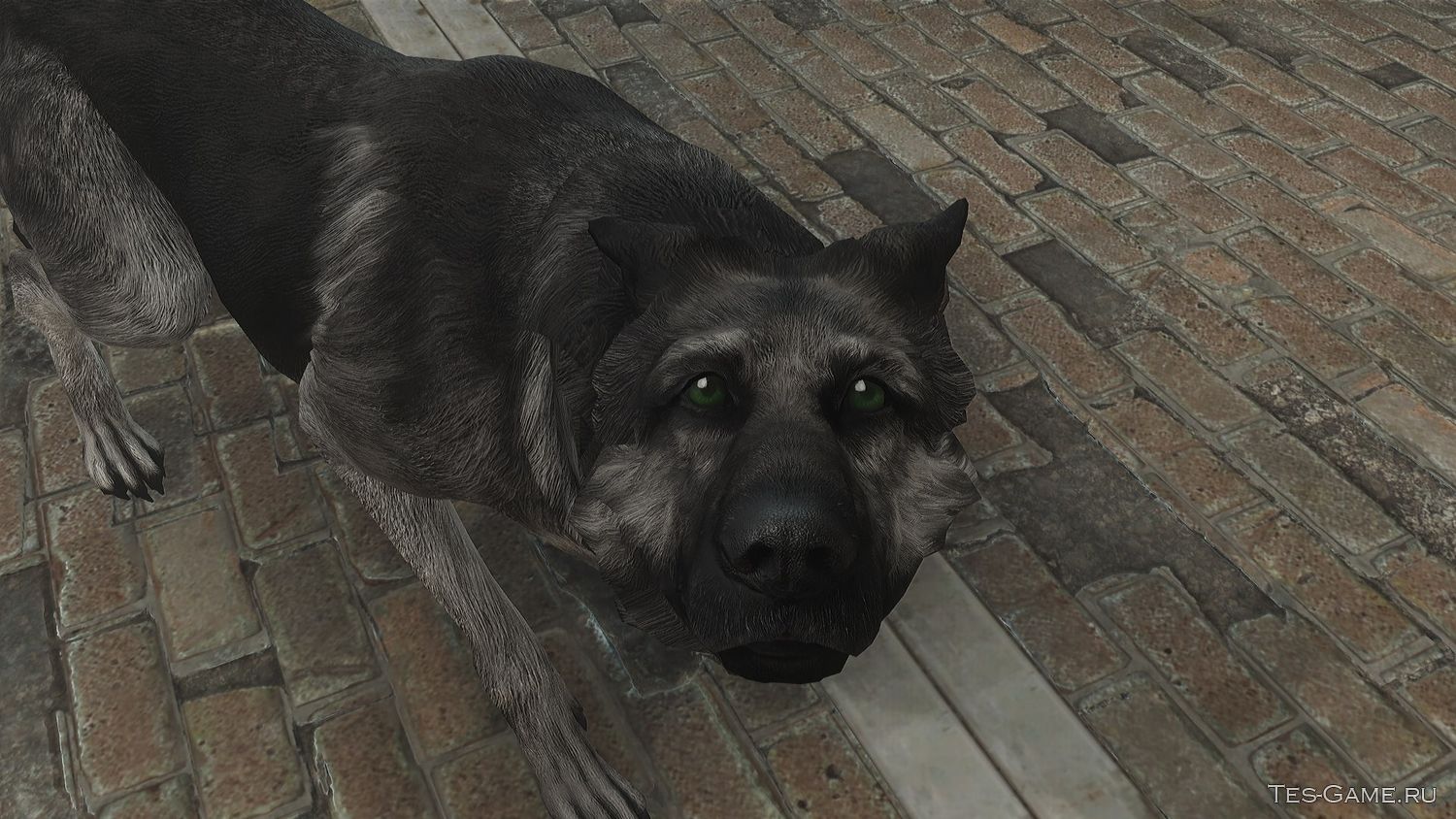 Fallout 4 good boy dogmeat фото 109