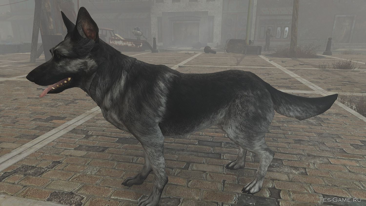 Fallout 4 бессмертие собаки фото 60