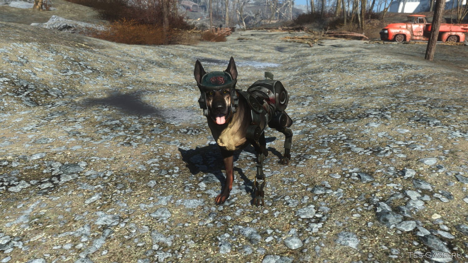 как в fallout 4 одеть собаку в fallout 4 фото 22