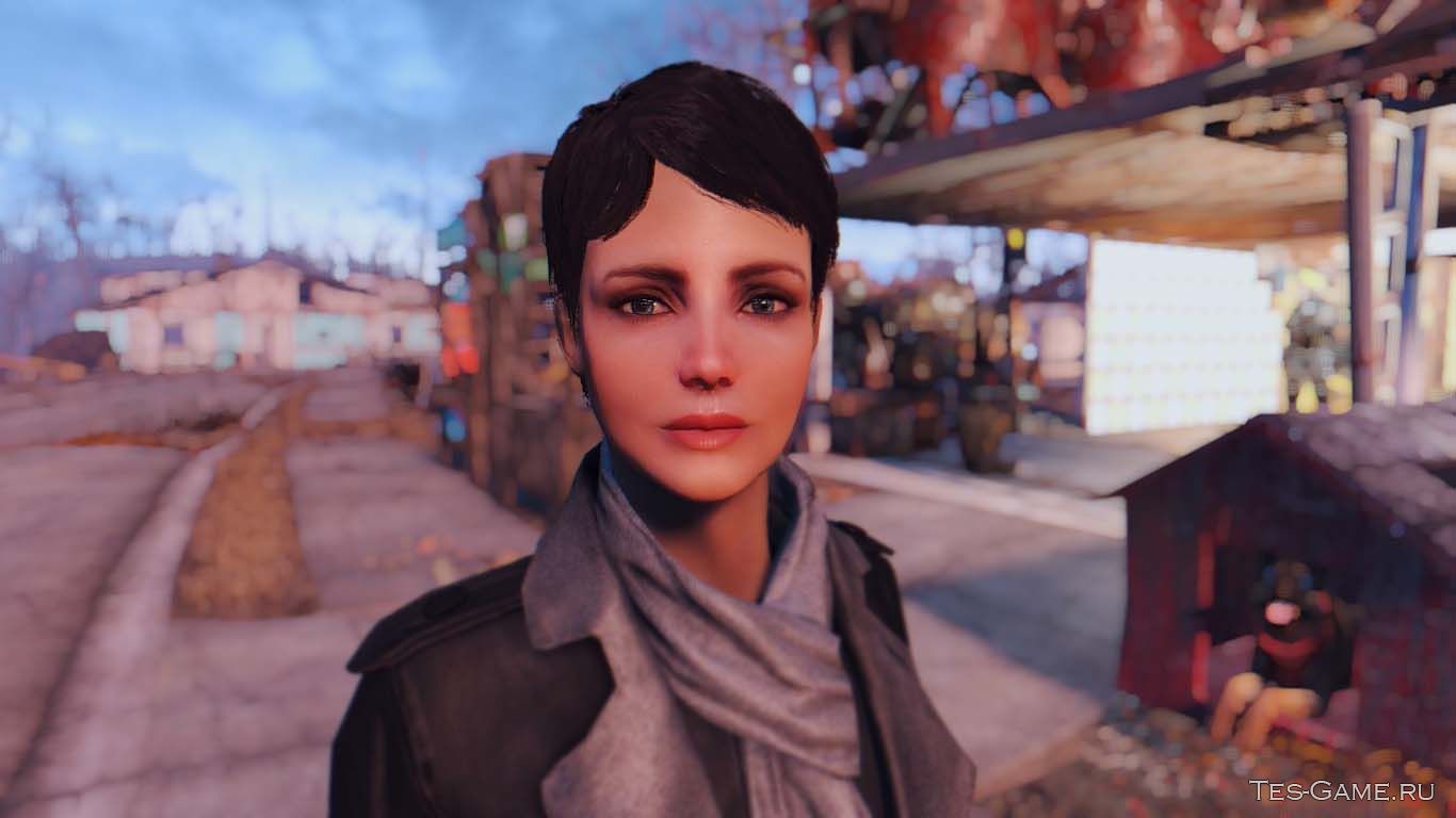 Fallout 4 внешность компаньона фото 52