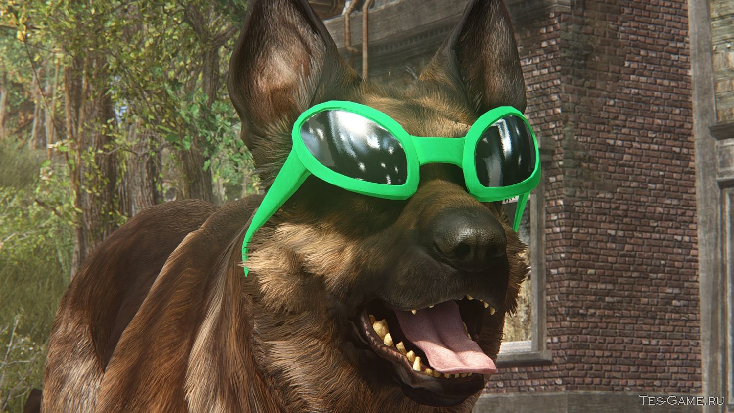 Fallout 4 добавить очки фото 63