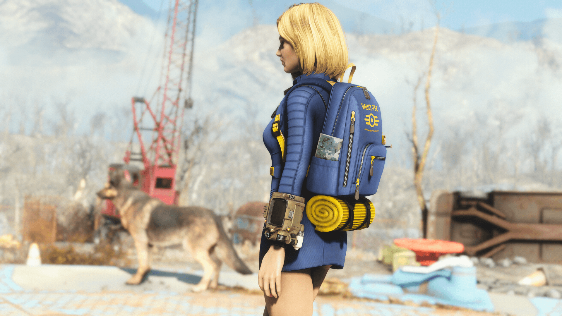 Fallout 4 комбинезон cbbe фото 80